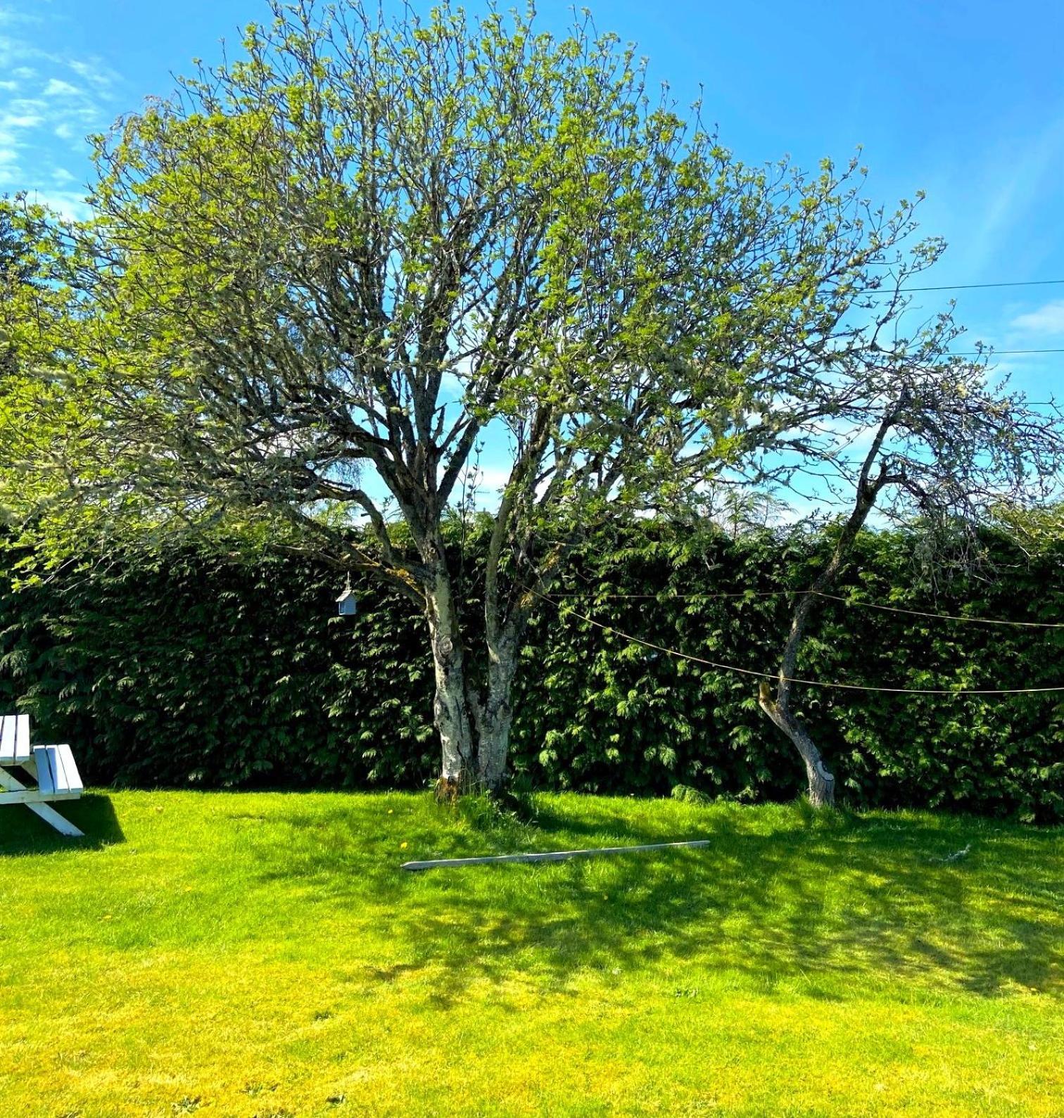 26 Green Drive Inverness Inshes Eksteriør bilde